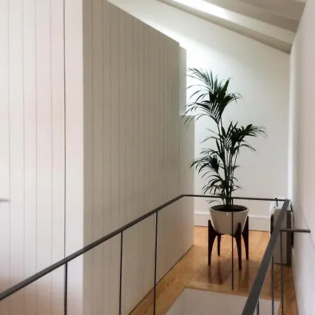 Апартаменты Loios By Casa Do Conto Порту